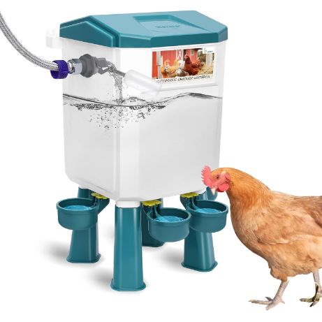 Float-Controlled Automatic Chicken Waterer