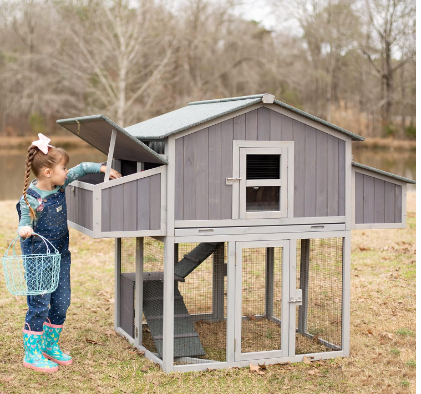 GUTINNEEN Foldable Chicken Coop Super Easy to Assemble