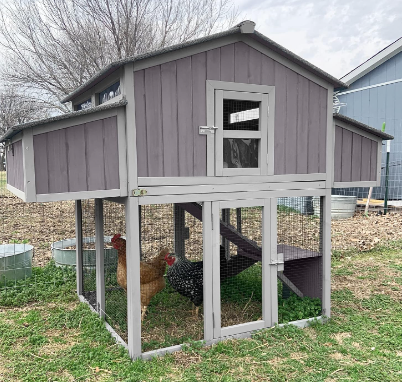 Aivituvin Chicken Coop