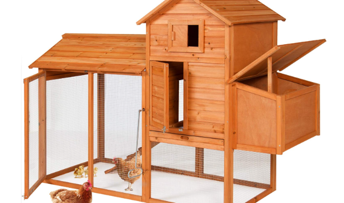 small Chicken Coops