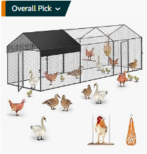 Walk in Large chicken coop