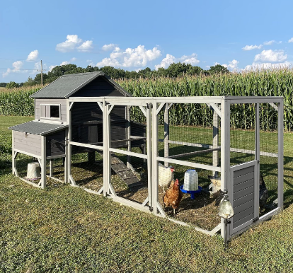 Product reviews of Chicken Coop 55ft²1