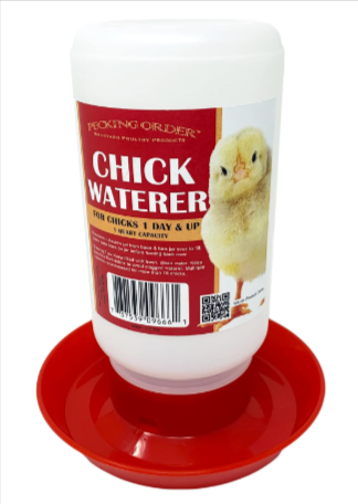 
Pecking order Chick Waterer, Red