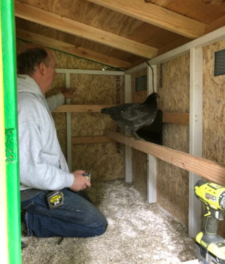 Cozy Coop Chicken Coop Heaters With Thermostats3