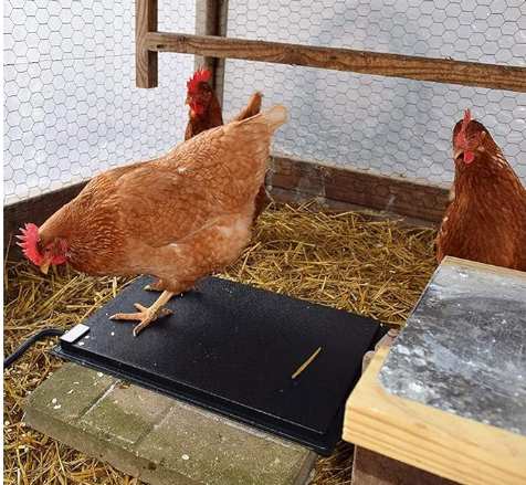 Farm Innovators Heated Chicken Mat for Coops2